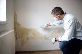 Best Residential Mold Inspection & Testing  in Marble Falls, TX